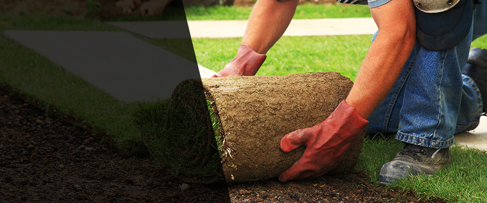 Peosta Landscapers
